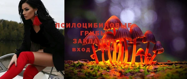 первитин Армянск