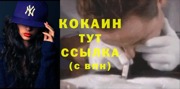 сатива Аркадак