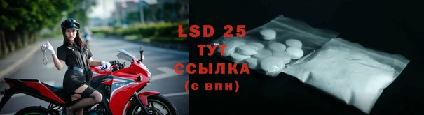 сатива Аркадак