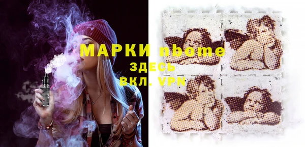 сатива Аркадак
