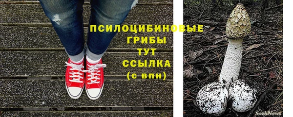 сатива Аркадак