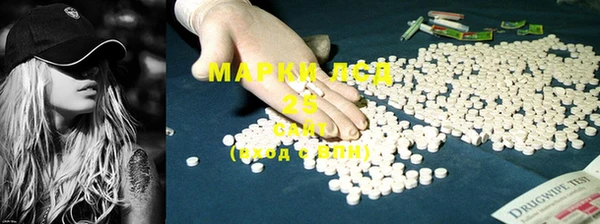 сатива Аркадак