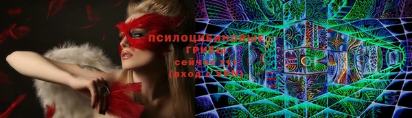 сатива Аркадак