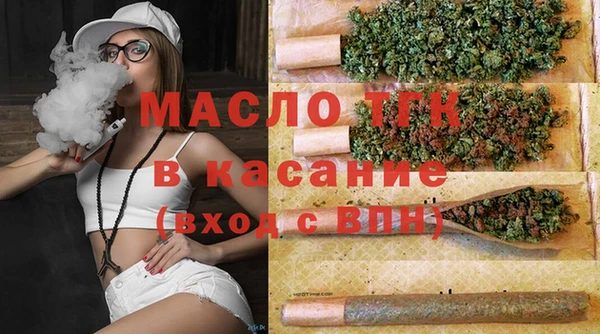 сатива Аркадак
