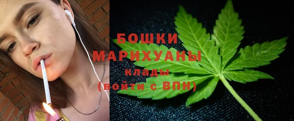 сатива Аркадак