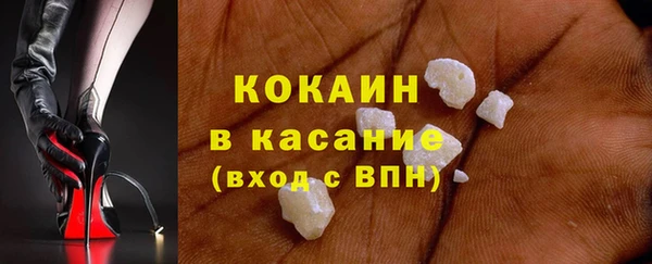 шишки Абинск