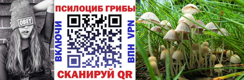 Псилоцибиновые грибы ЛСД  Новочеркасск 