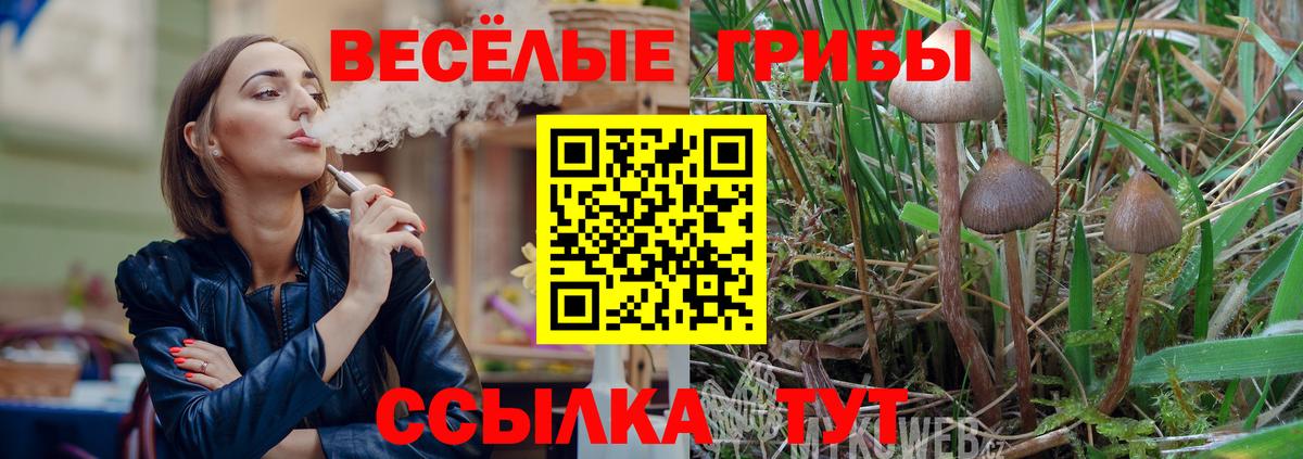Псилоцибиновые грибы GOLDEN TEACHER Новочеркасск
